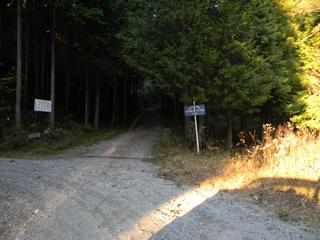 DSCN0332.JPG