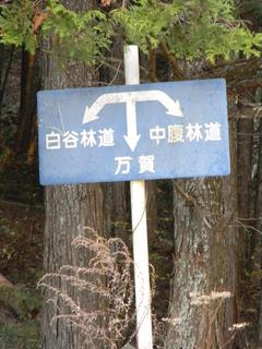 DSCN0334.JPG