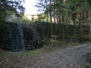 DSCN0335.JPG