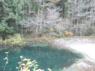 DSCN0341.JPG