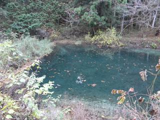 DSCN0342.JPG