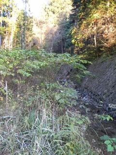 DSCN0344.JPG