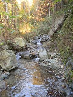 DSCN0347.JPG