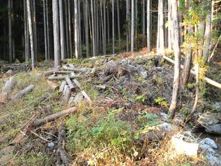DSCN0348.JPG