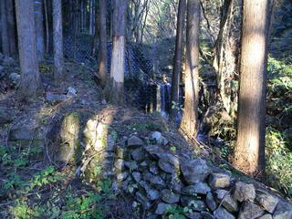 DSCN0349.JPG