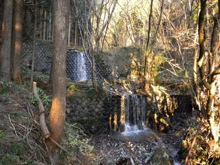 DSCN0350.JPG