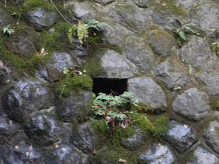 DSCN0357.JPG
