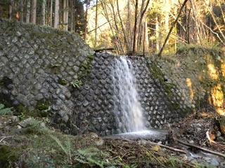 DSCN0358.JPG