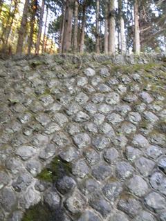 DSCN0359.JPG