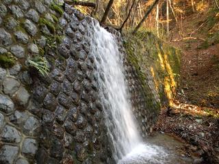 DSCN0360.JPG