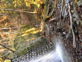 DSCN0362.JPG