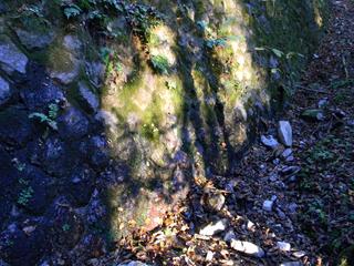 DSCN0363.JPG
