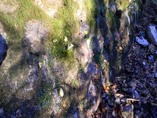 DSCN0364.JPG