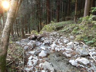 DSCN0366.JPG