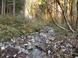 DSCN0367.JPG