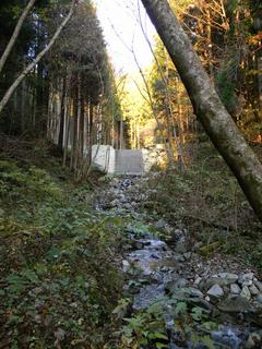DSCN0368.JPG