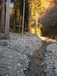 DSCN0374.JPG