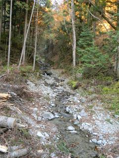 DSCN0380.JPG