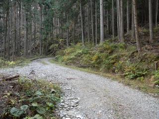 DSCN0381.JPG
