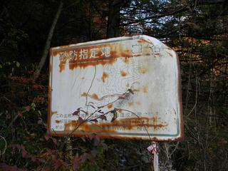 DSCN0384.JPG
