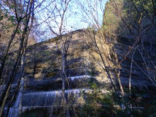 DSCN0386.JPG