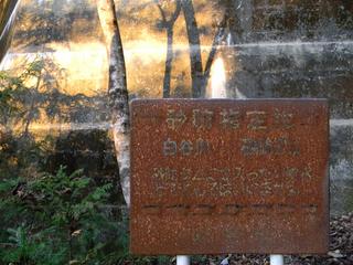 DSCN0387.JPG