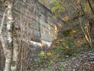 DSCN0389.JPG