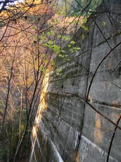 DSCN0390.JPG