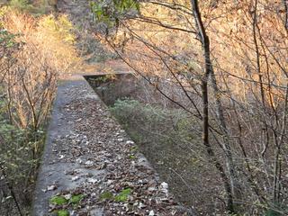 DSCN0392.JPG
