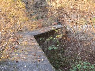 DSCN0393.JPG