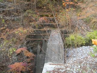 DSCN0395.JPG