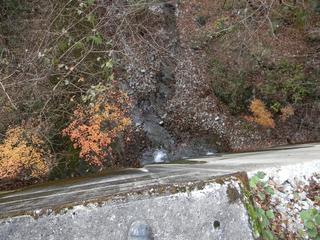 DSCN0396.JPG