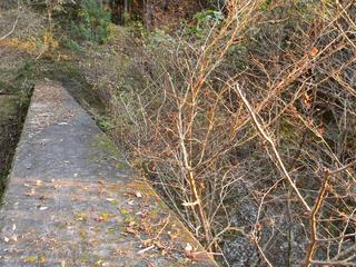 DSCN0398.JPG