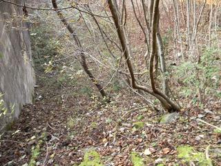 DSCN0399.JPG