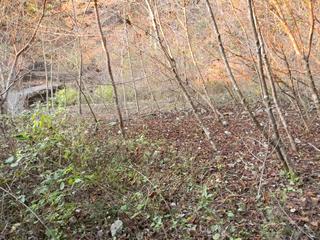 DSCN0400.JPG