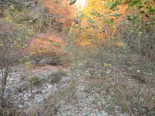 DSCN0401.JPG