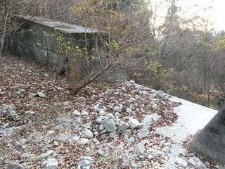 DSCN0403.JPG