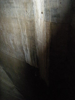DSCN1069.JPG