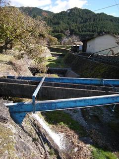 DSCN1289.JPG