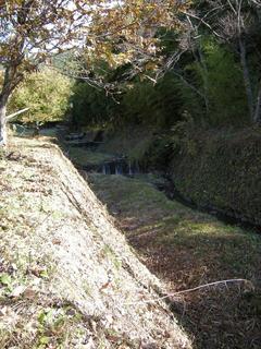 DSCN1292.JPG