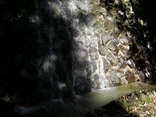 DSCN1299.JPG