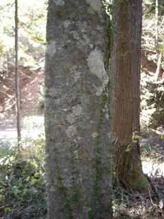 DSCN1304.JPG