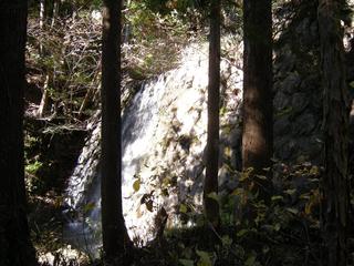 DSCN1306.JPG