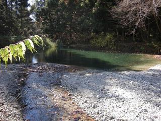 DSCN1307.JPG