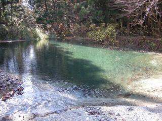 DSCN1308.JPG
