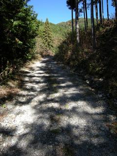DSCN1311.JPG