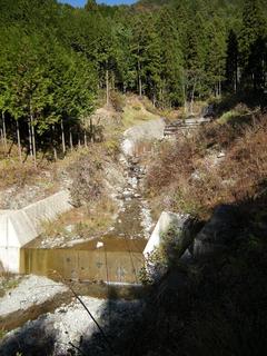DSCN1312.JPG
