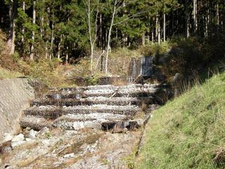 DSCN1314.JPG