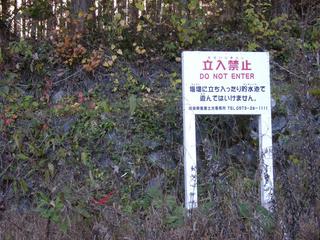 DSCN1316.JPG