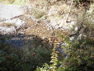 DSCN1317.JPG